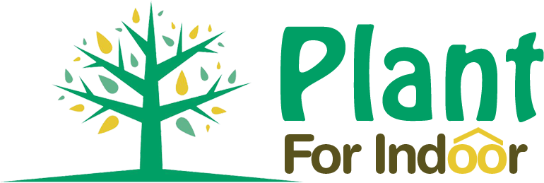 Rare and special plants